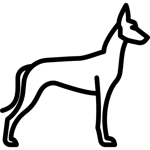 Pharaoh Hound Special Lineal icon