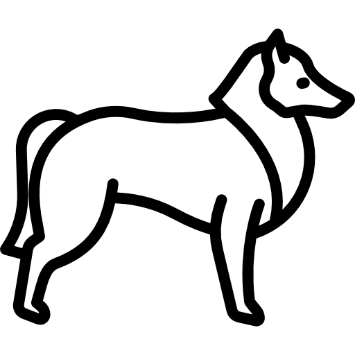 Collie Special Lineal icon
