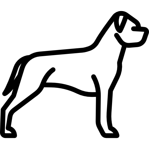 amerikanischer staffordshire terrier Special Lineal icon