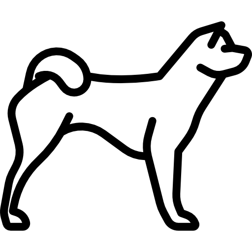 Akitas Special Lineal icon