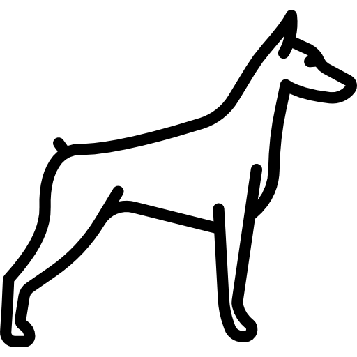 dobermann Special Lineal icon