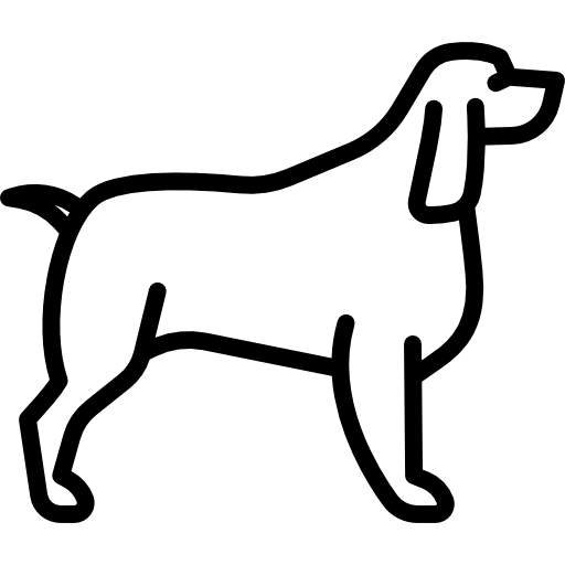 Springer Spaniel Special Lineal icon