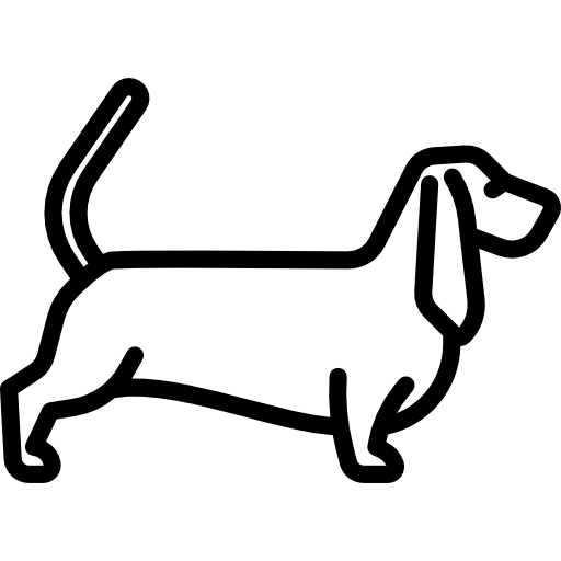 Basset Houd Special Lineal icon