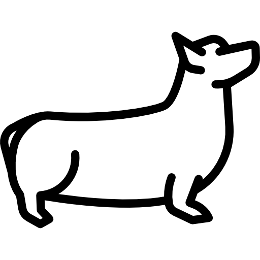 corgi Special Lineal icoon