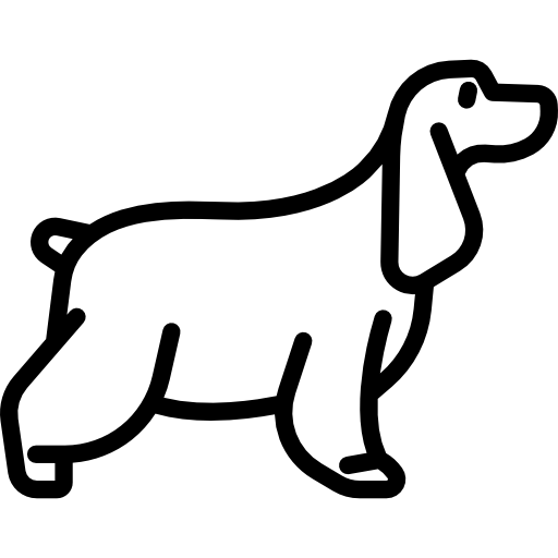 englischer cockerspaniel Special Lineal icon