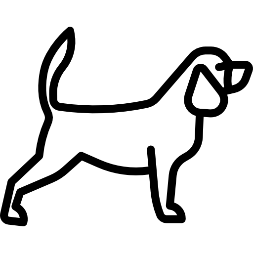 Beagle Special Lineal icon