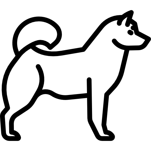 Husky Special Lineal icon