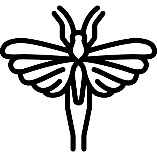 Саранча Special Lineal иконка