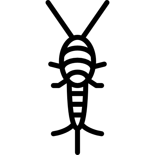 シルバーフィッシュ Special Lineal icon