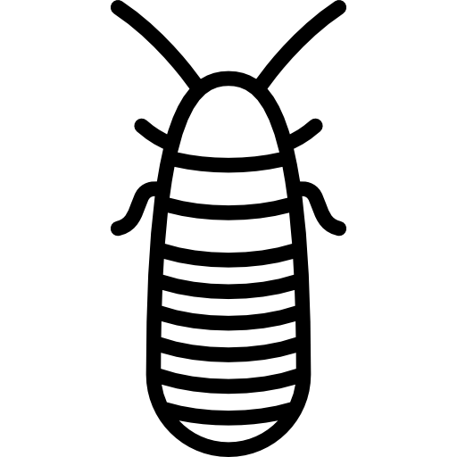 malgache Special Lineal icono