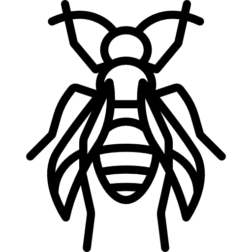 pszczoła Special Lineal ikona