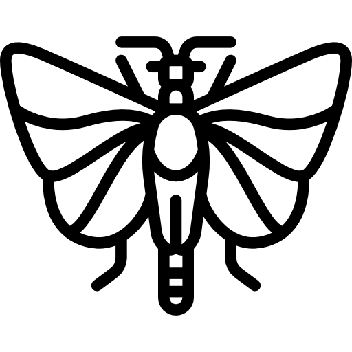 strepsiptera Special Lineal icon