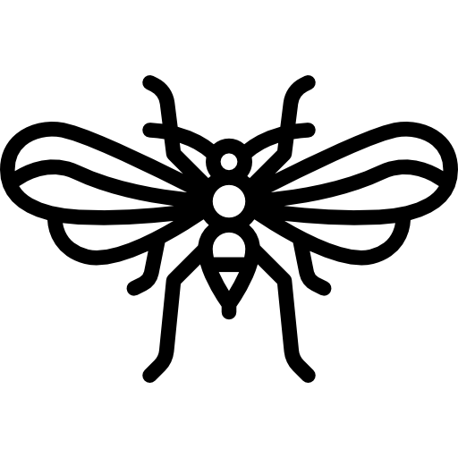 psocoptera Special Lineal ikona