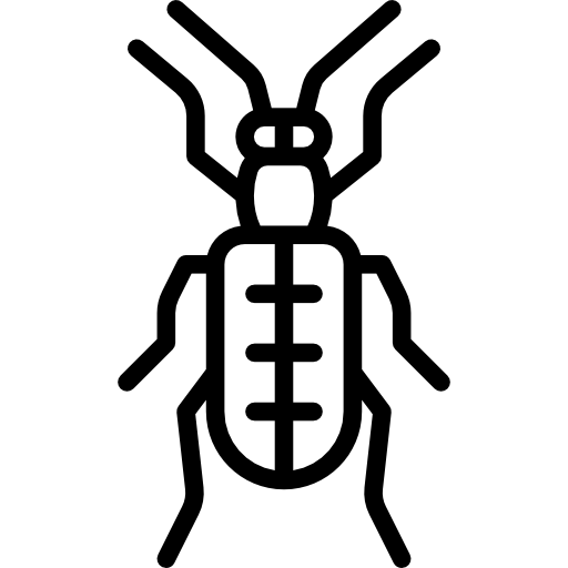 chrząszcz szparagowy Special Lineal ikona
