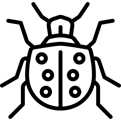 Ladybug Special Lineal icon