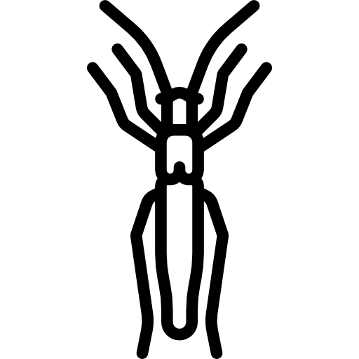 埠頭ボーラー Special Lineal icon