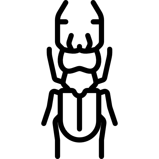 Stag Beetle Special Lineal icon