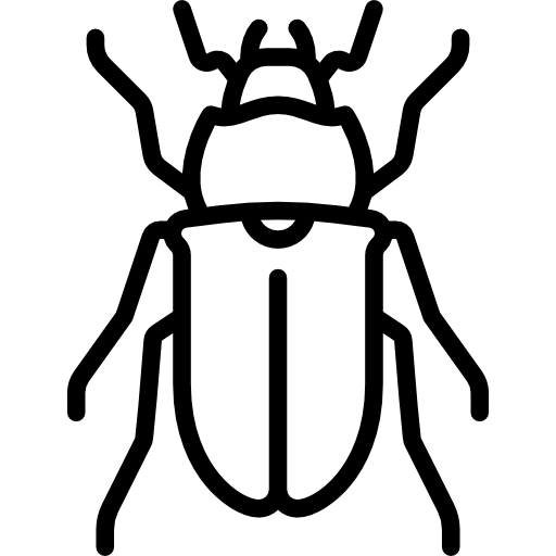 사슴 벌레 Special Lineal icon