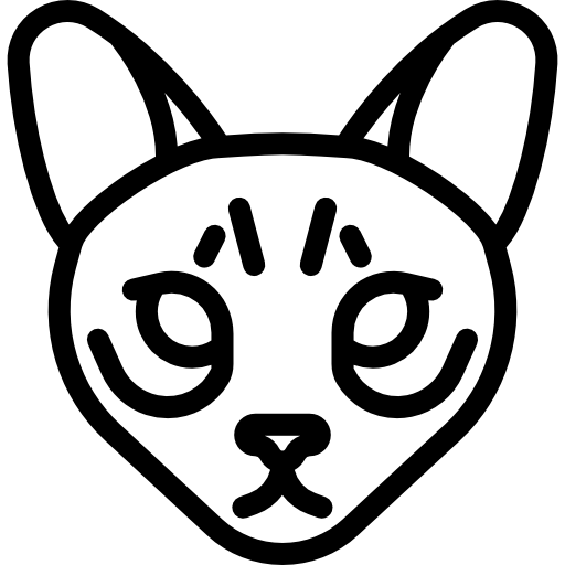 gatto ashera  icona