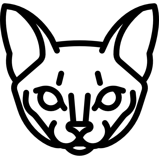 gato abisinio  icono
