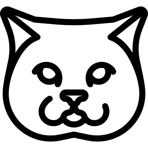 british shorthair cat  Ícone