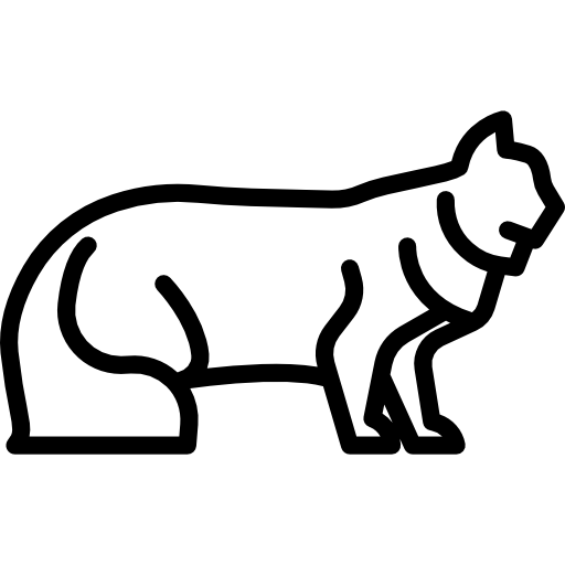 kot norweski leśny  ikona