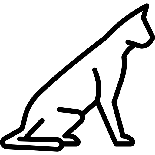 gato de la sabana  icono