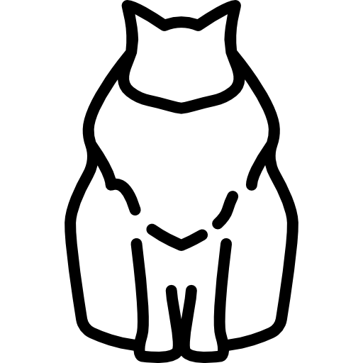 gatto ragdoll  icona