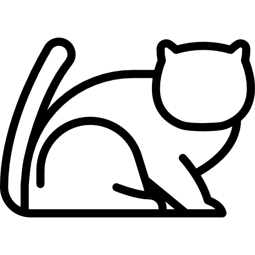 gato exótico de pelo corto  icono