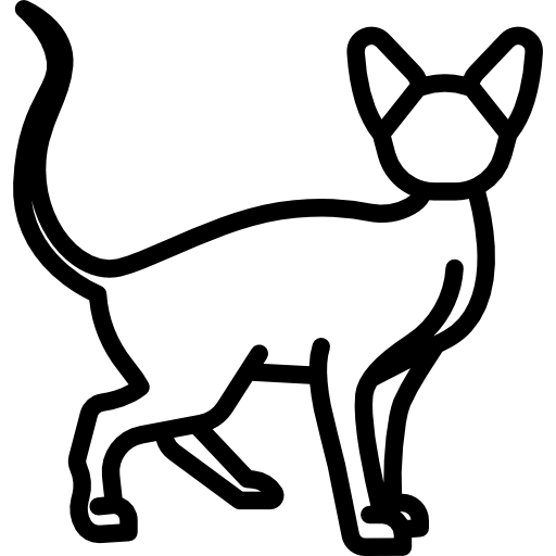 sphynx cat  icon