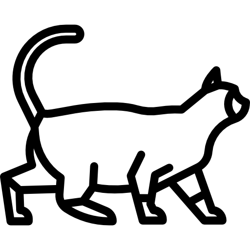 gato siames  icono