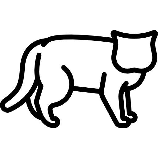 Британская короткошерстная кошка  иконка
