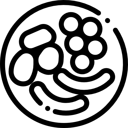 음식 Detailed Rounded Lineal icon