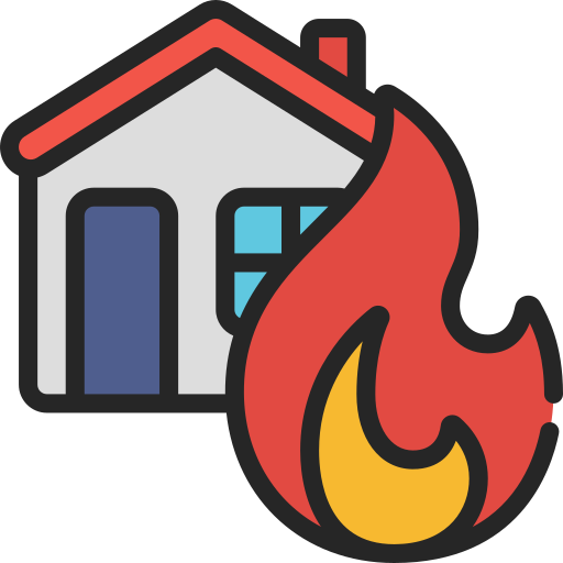 Fire Juicy Fish Soft-fill icon