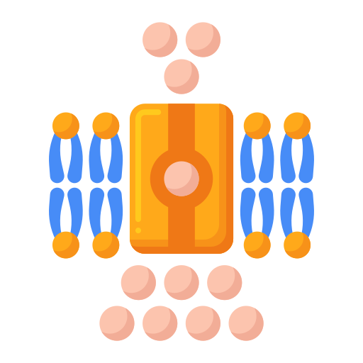 transport Generic Others Icône