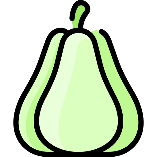 chayote Vitaliy Gorbachev Lineal Color icon