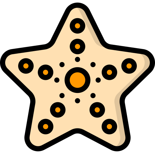 estrella de mar Basic Miscellany Lineal Color icono