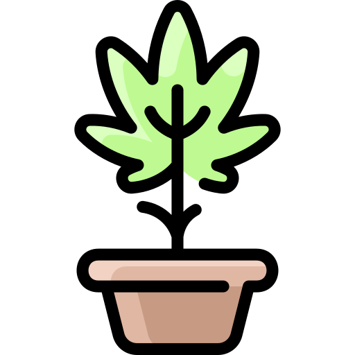 Plant Vitaliy Gorbachev Lineal Color icon