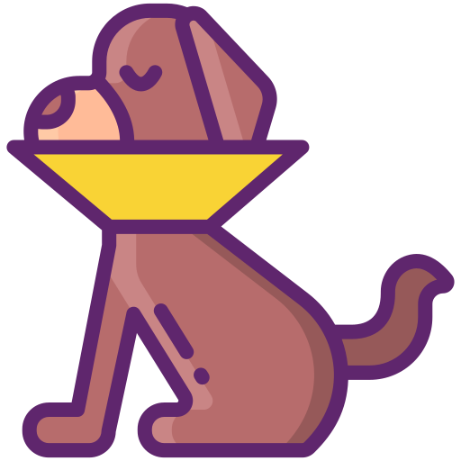 Ошейник для домашних животных Flaticons Lineal Color иконка