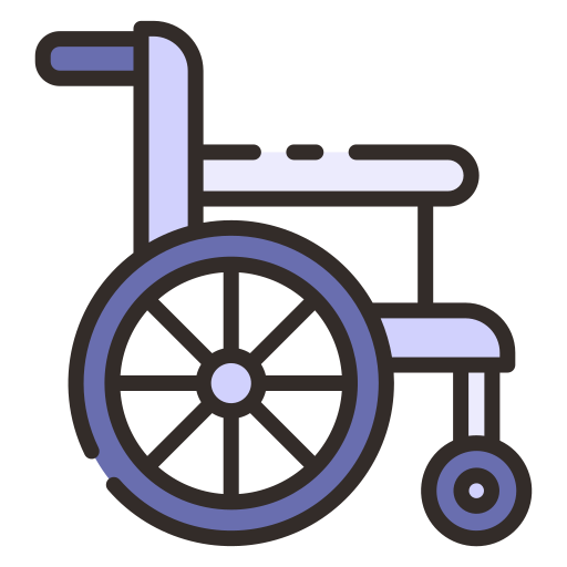 rolstoel Good Ware Lineal Color icoon