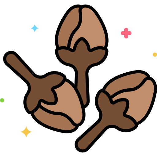 chiodo di garofano Flaticons Lineal Color icona