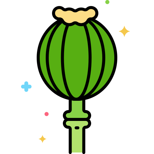 Poppy Flaticons Lineal Color icon