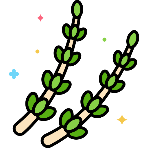 Thyme Flaticons Lineal Color icon