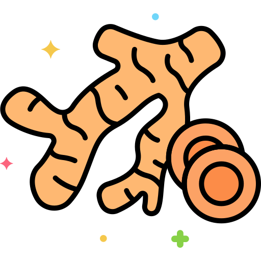 Turmeric Flaticons Lineal Color icon