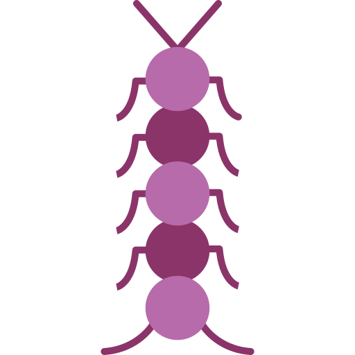 Centipede Generic color outline icon