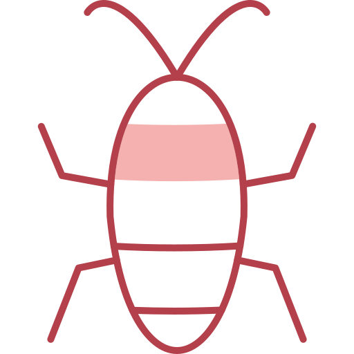 Cicada Generic color lineal-color icon