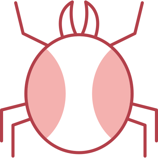 spinne Generic color lineal-color icon