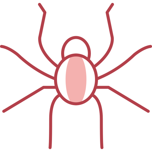 Spider Generic color lineal-color icon