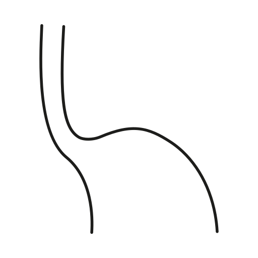 esofago Generic black outline icona