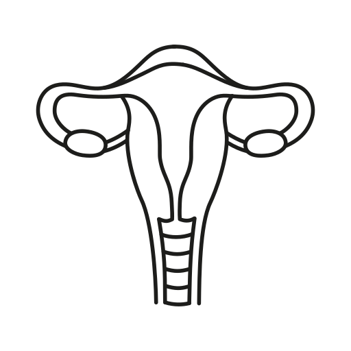 Female reproductive organ Generic black outline icon